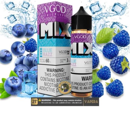 جویس بلوبری تمشک یخ ویگاد